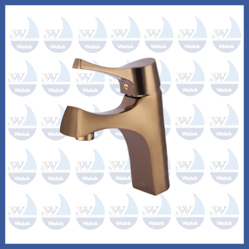 مدل کیان زیتونی